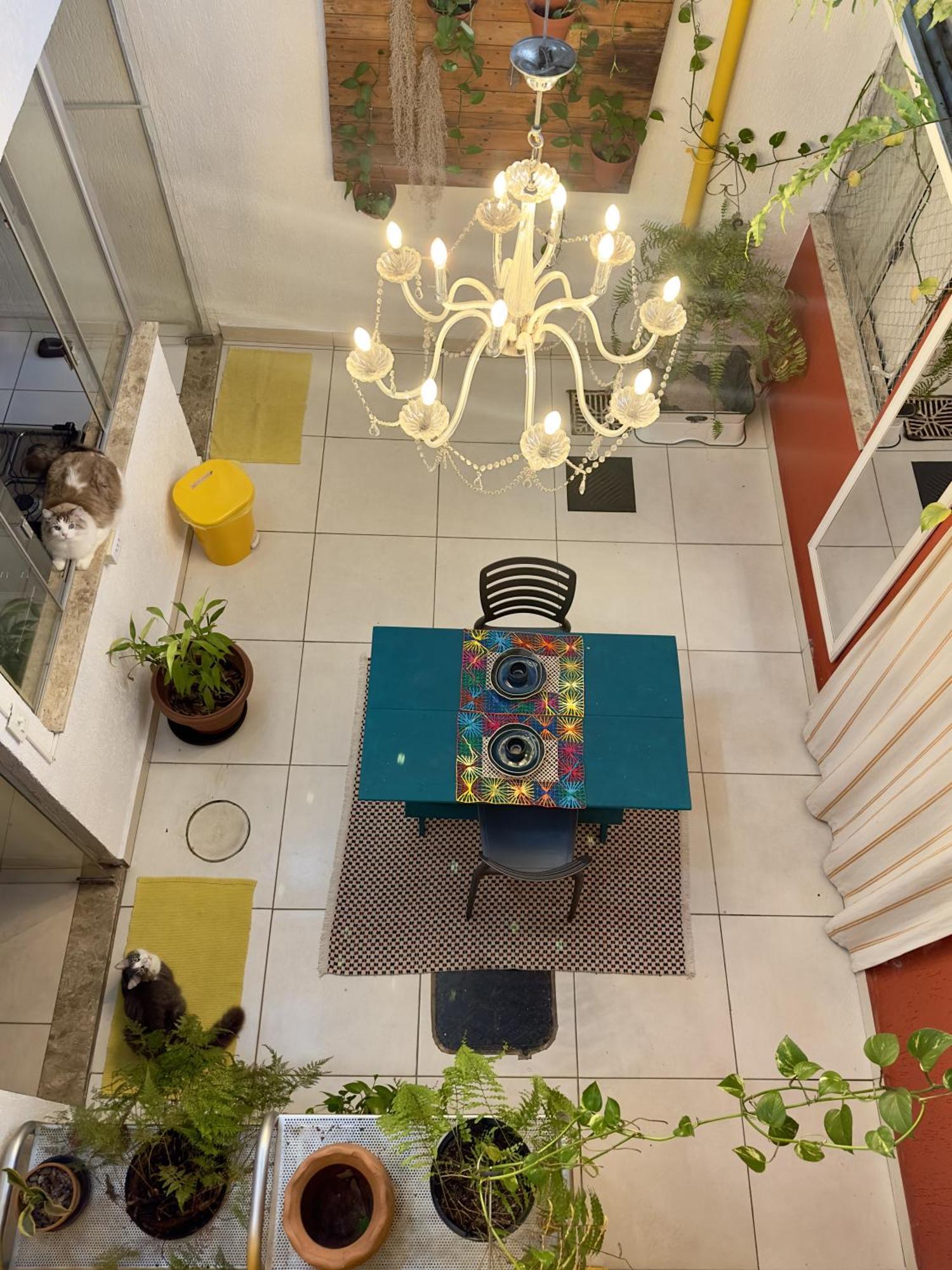 Núcleo BandeiranteCasa Lumen住宿加早餐旅馆 外观 照片